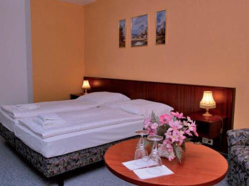 Pöhl Landhotel Alt-Jocketa מראה חיצוני תמונה
